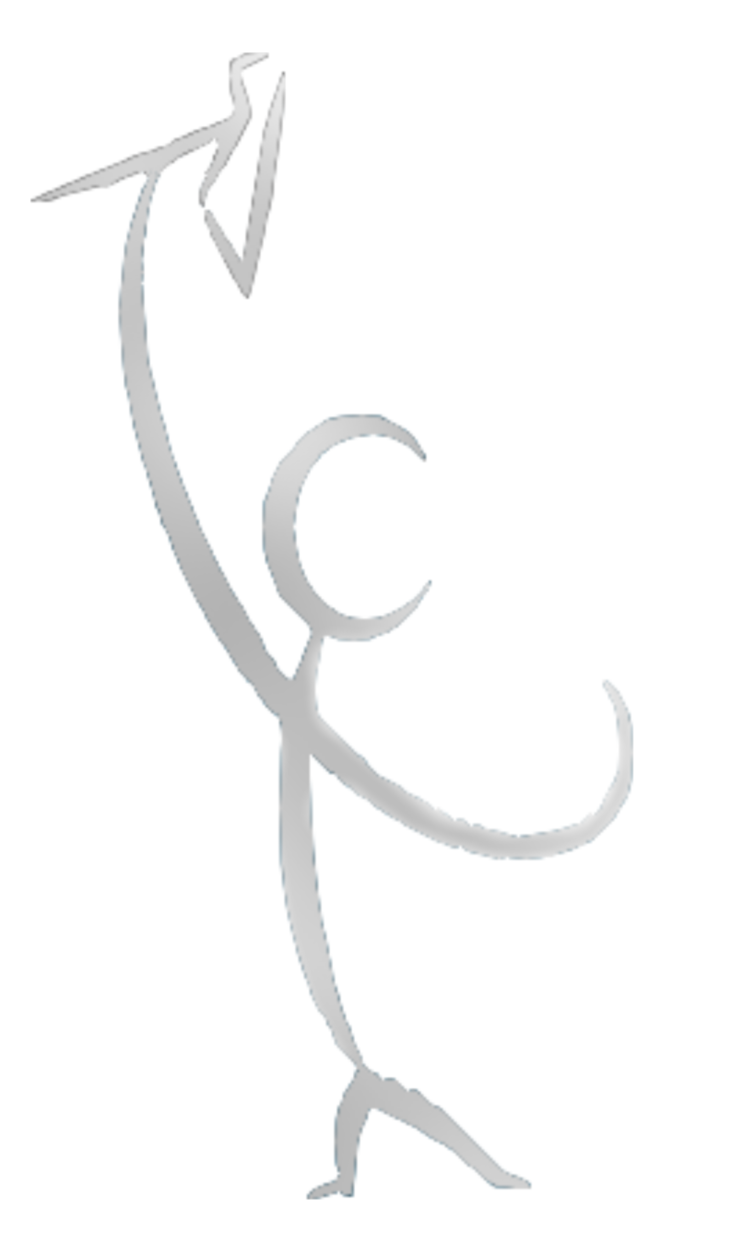 Mini Mureren logo